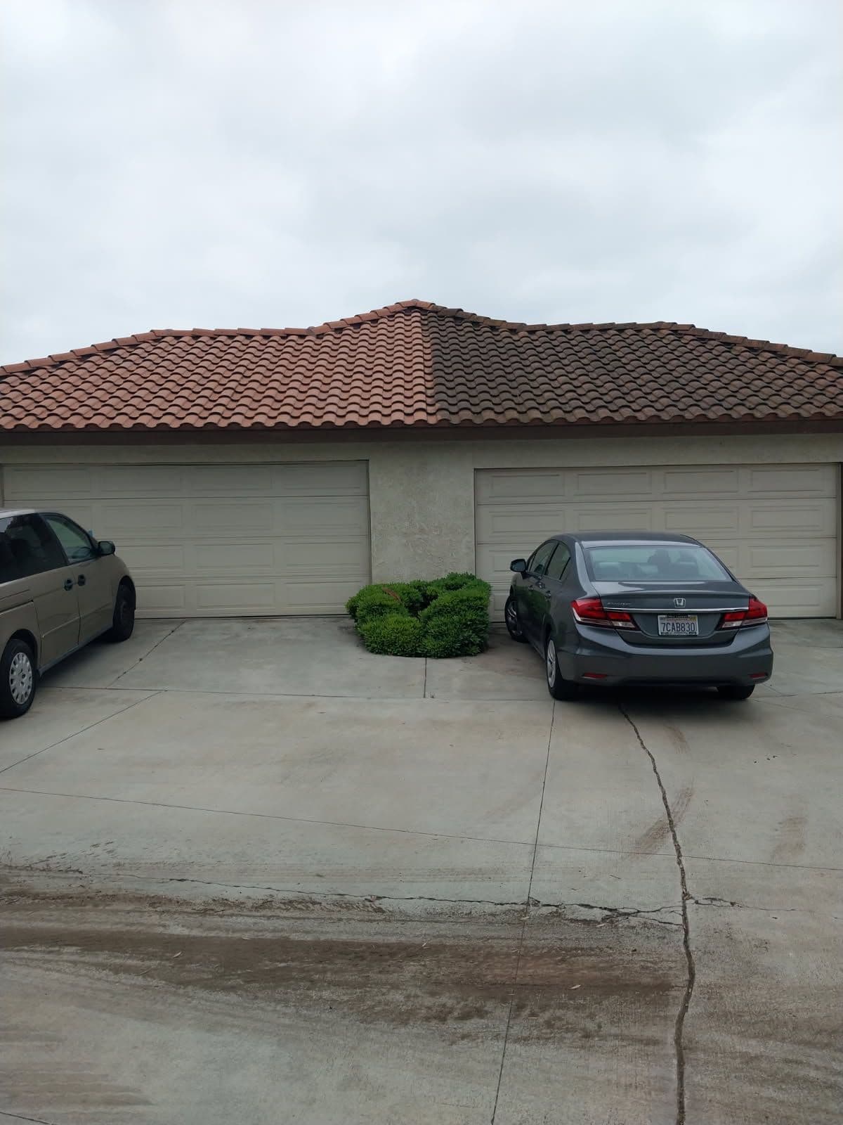 Revitalize Your Roof with Expert Cleaning Services image