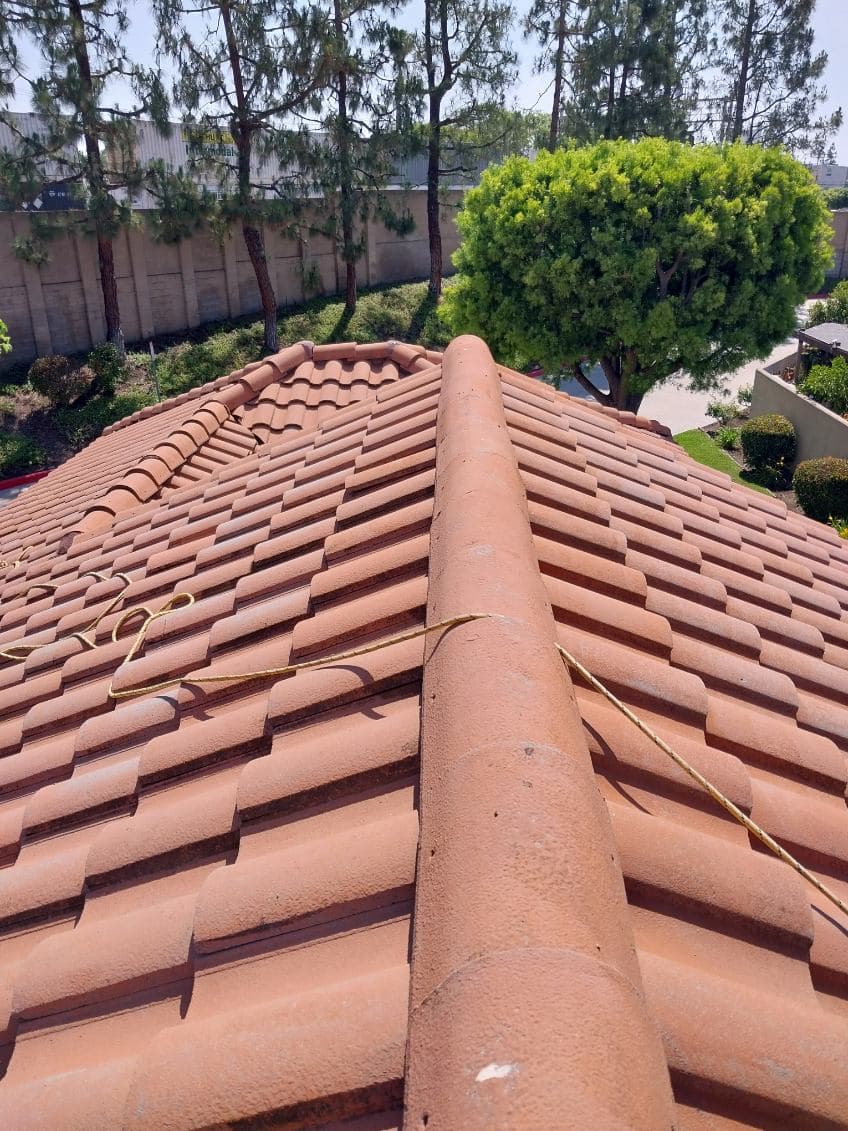 Gallery photos for Revitalize Your Roof with Expert Cleaning Services: Image #3