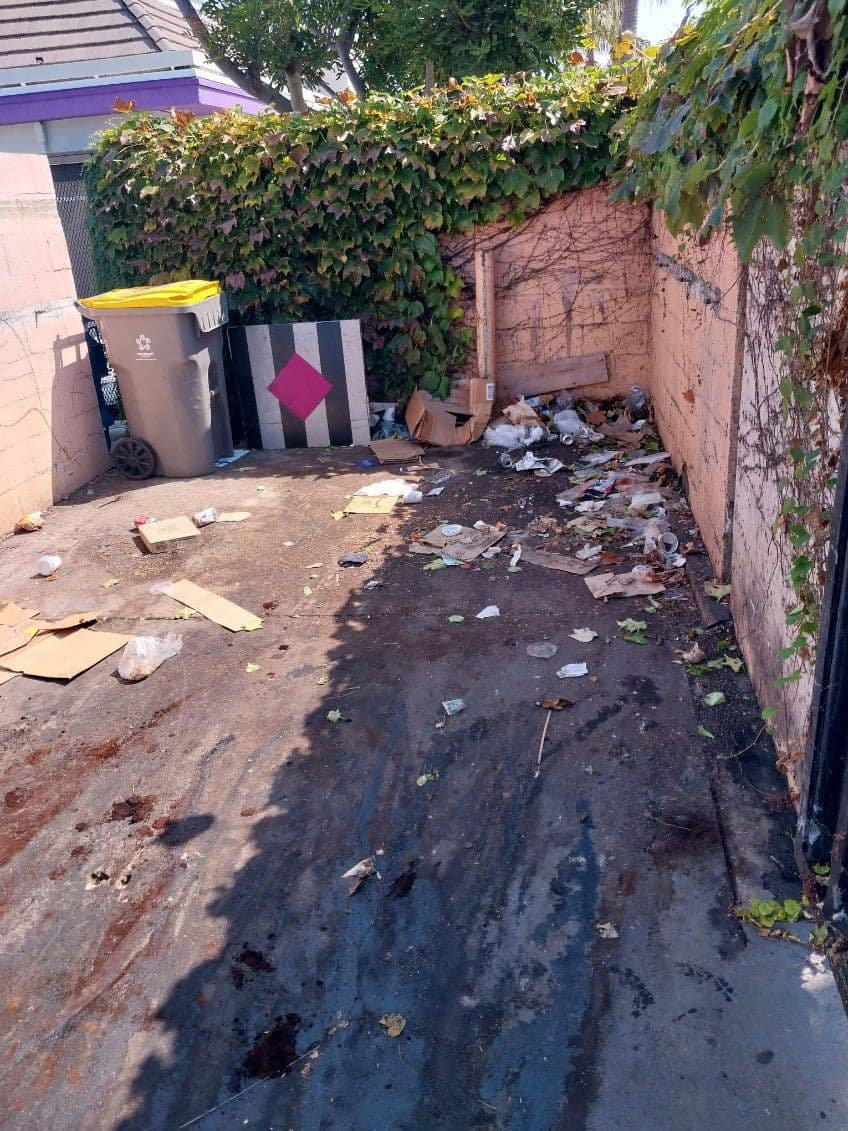Gallery photos for Dumpster Area Revitalization with Pressure Washing: Image #1