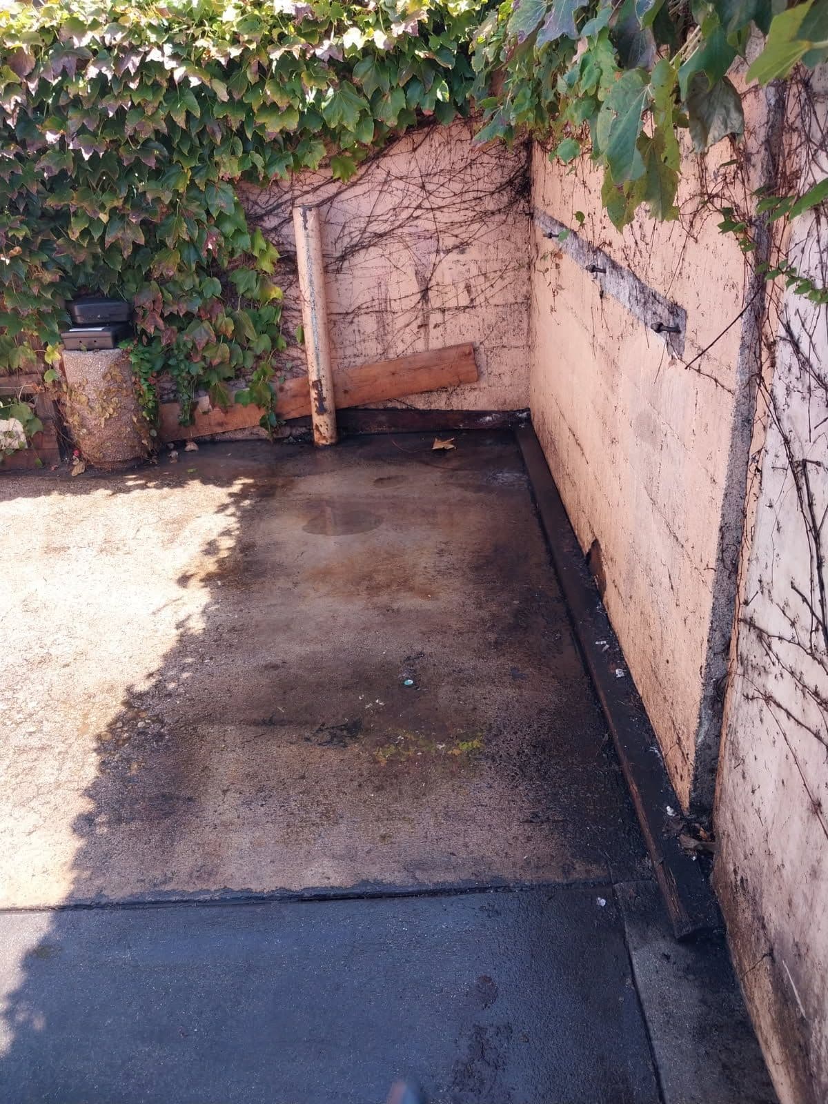 Gallery photos for Dumpster Area Revitalization with Pressure Washing: Image #2